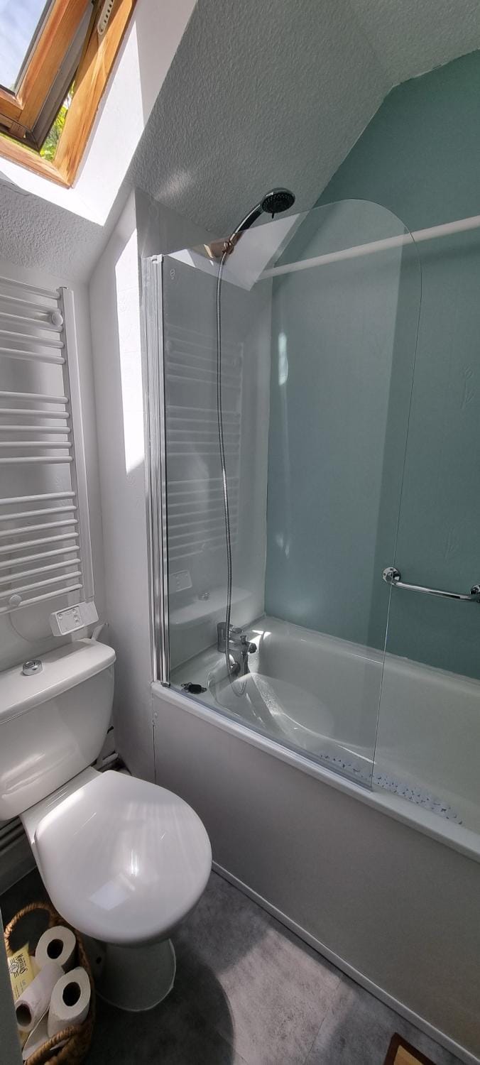 Toilet, Bathroom, Bath