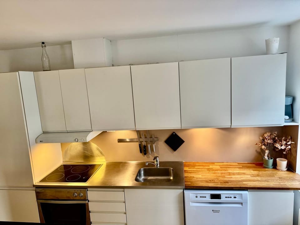 Central lejlighed med tag-terrasse Apartment in Aarhus