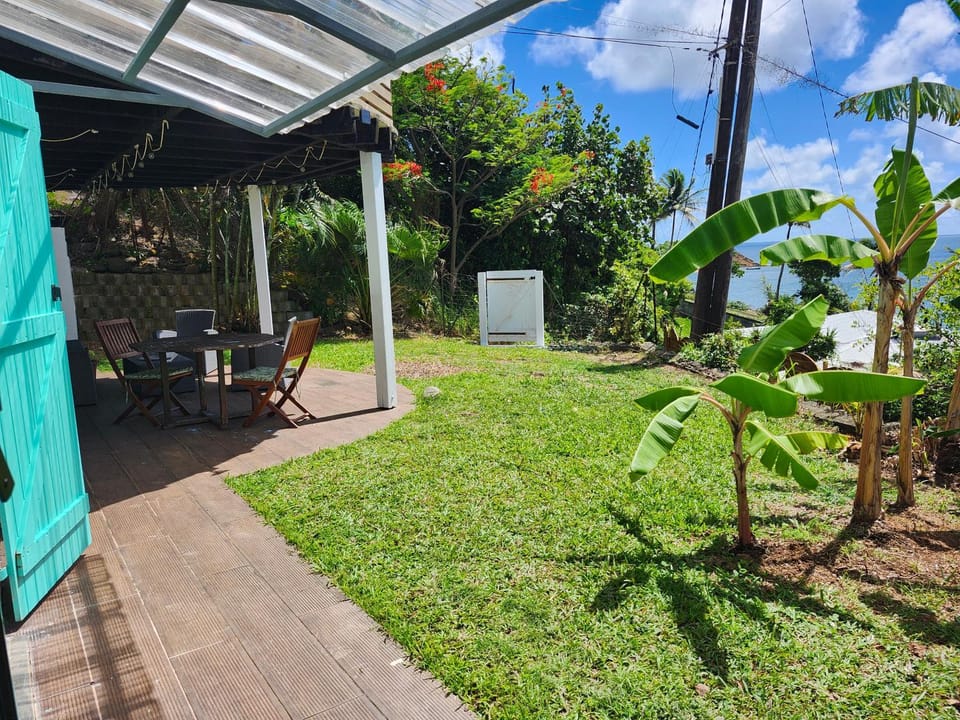 Garden view
