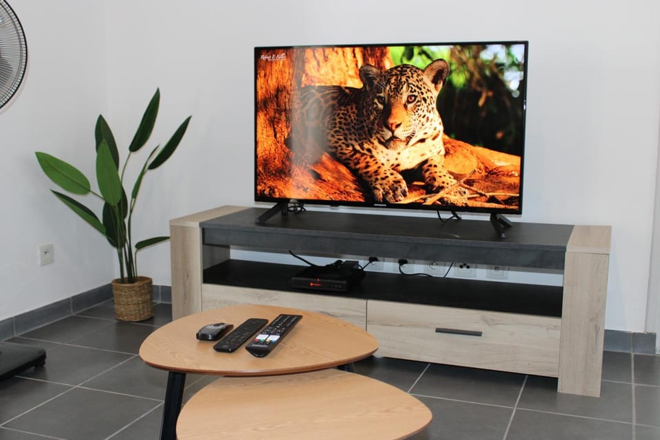 TV and multimedia