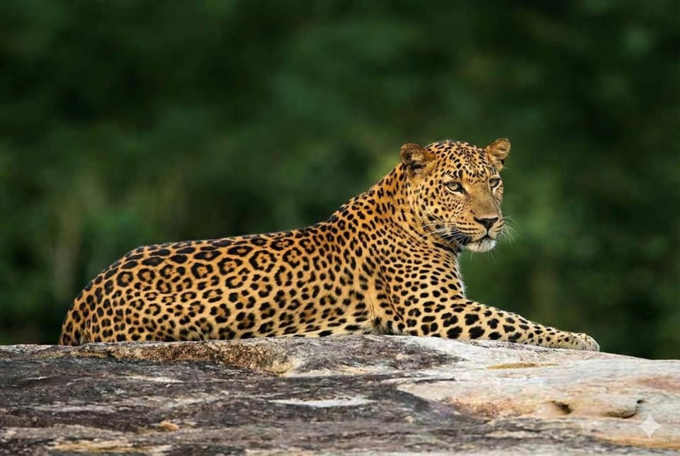 Exciting Tree house and 2 Chalets, Spring valley farm stay Buttala, Okkampitiya Nature lodge in Uva Province, Sri Lanka