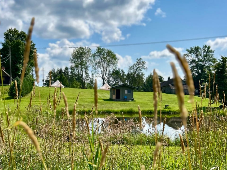 Lake view