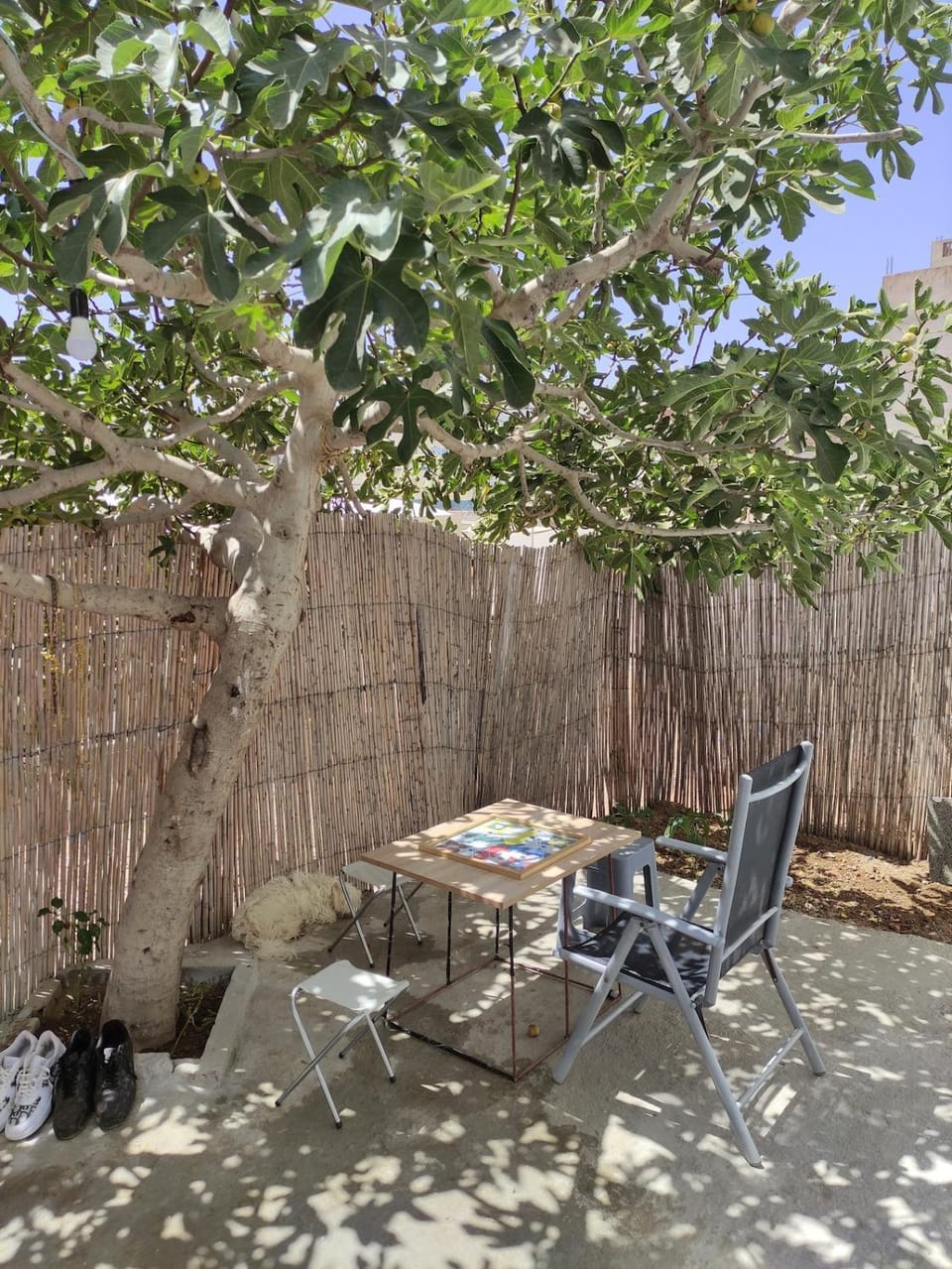 Facade/entrance, Spring, Garden, Garden view, fireplace