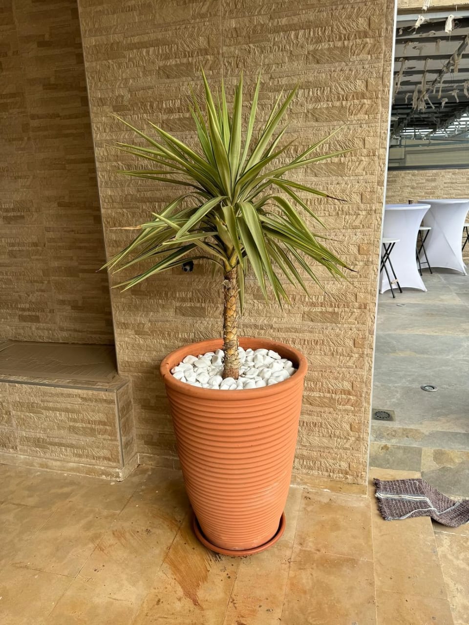 Apartment with pool view Apartment in Casablanca-Settat