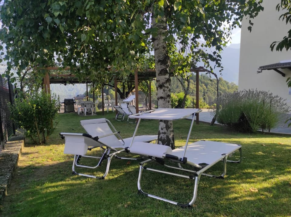 Natural landscape, Garden, Garden view, sunbed