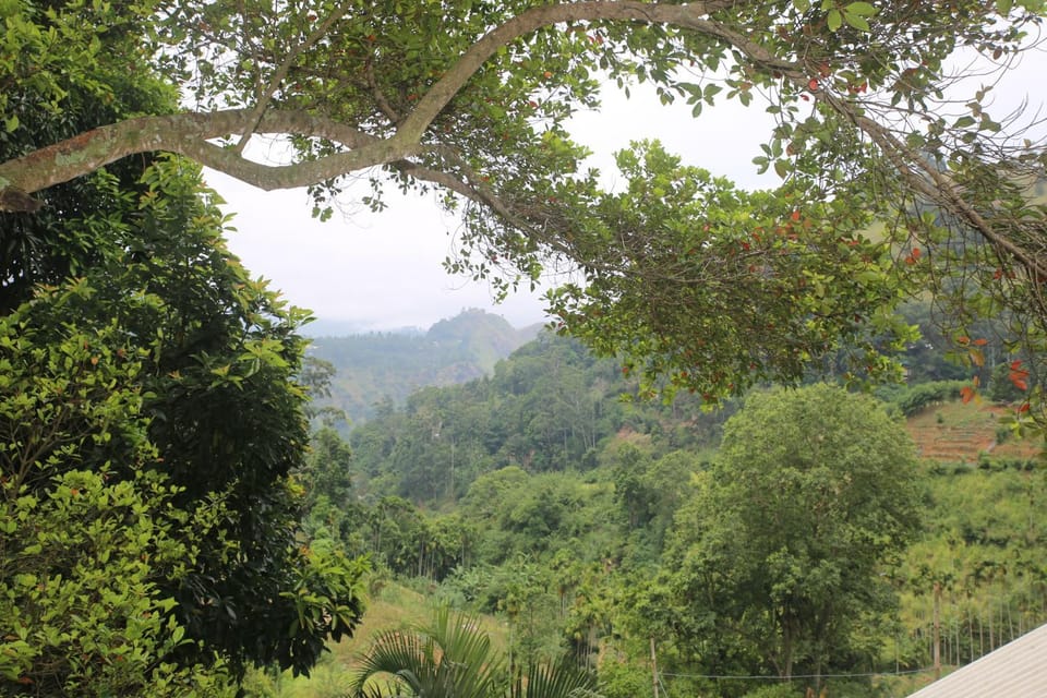 View (from property/room)