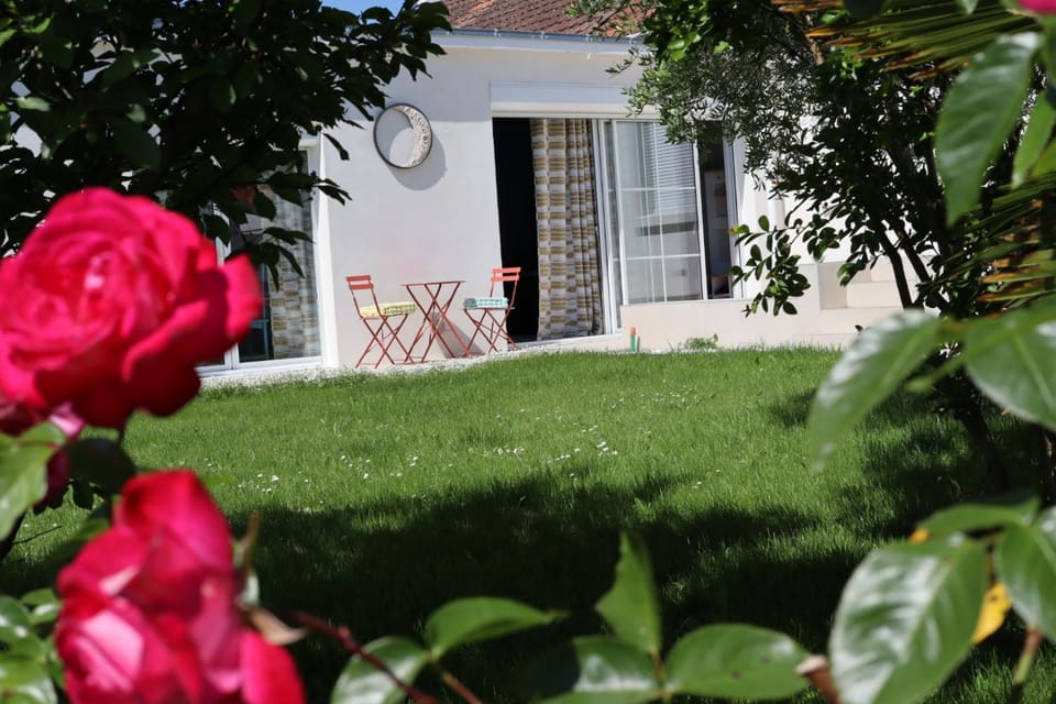 Patio, Day, Garden, Garden view