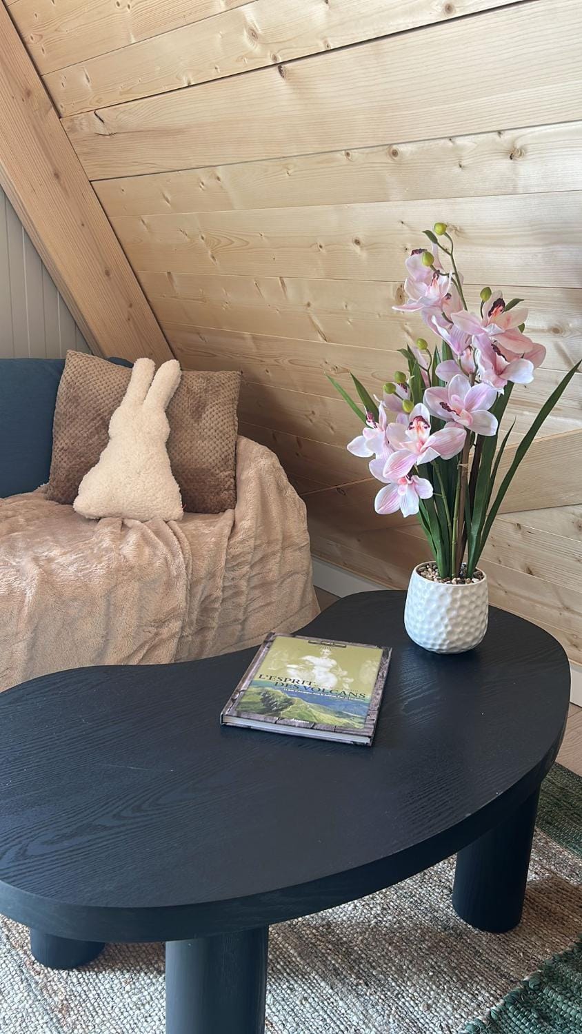 chalet laguiole-aubrac Apartment in Auvergne-Rhône-Alpes