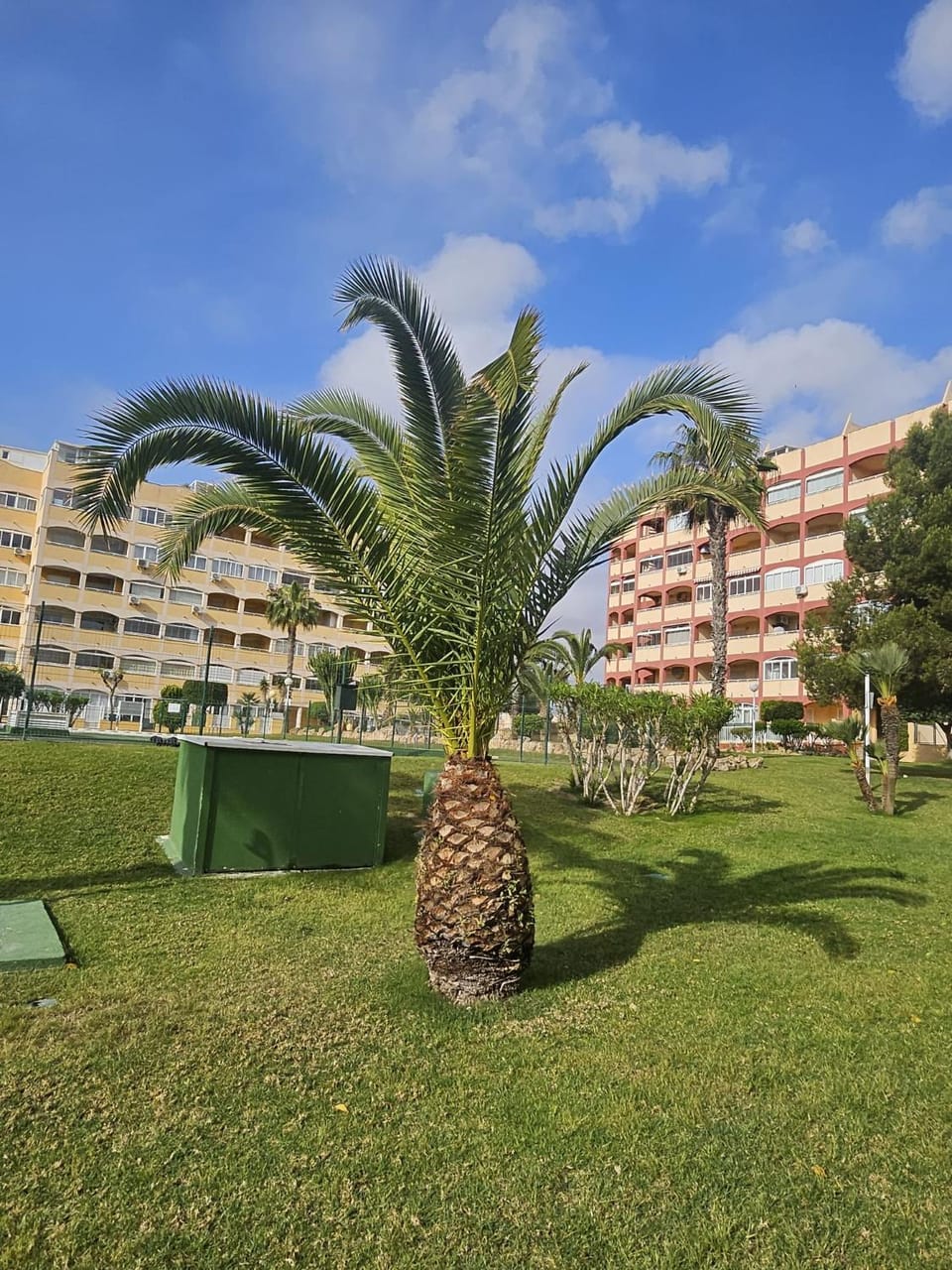 Mar Y Sol Relax Apartment in Torrevieja
