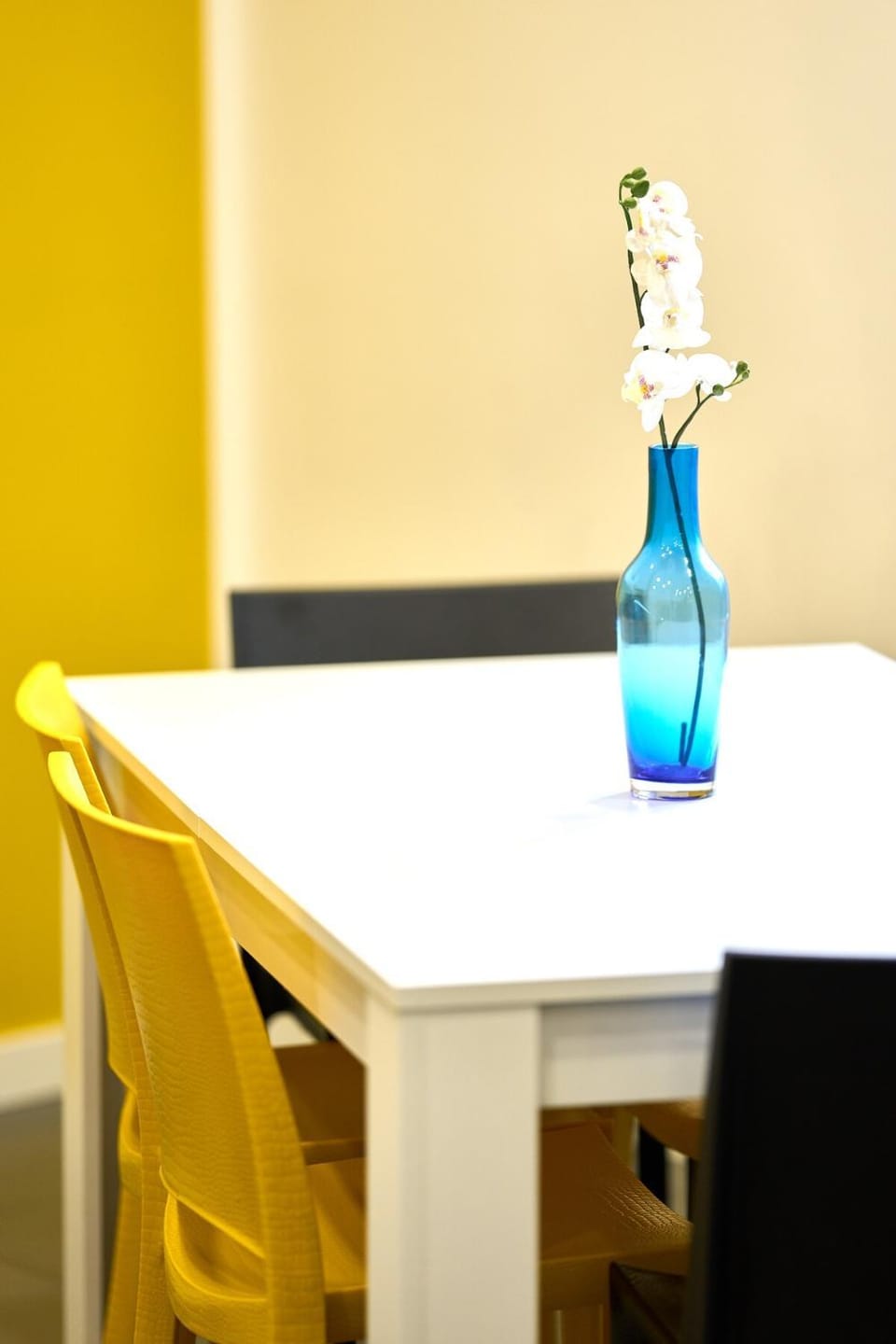 Empoli Tuscan Residence Apartment in Tuscany