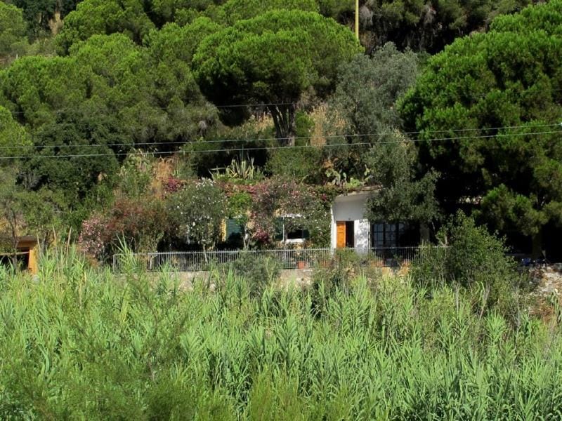 Villa in Elba Island, seaview 2 Kayaks provided House in Tuscany