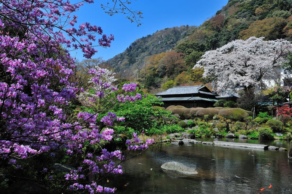 Garden, Garden
