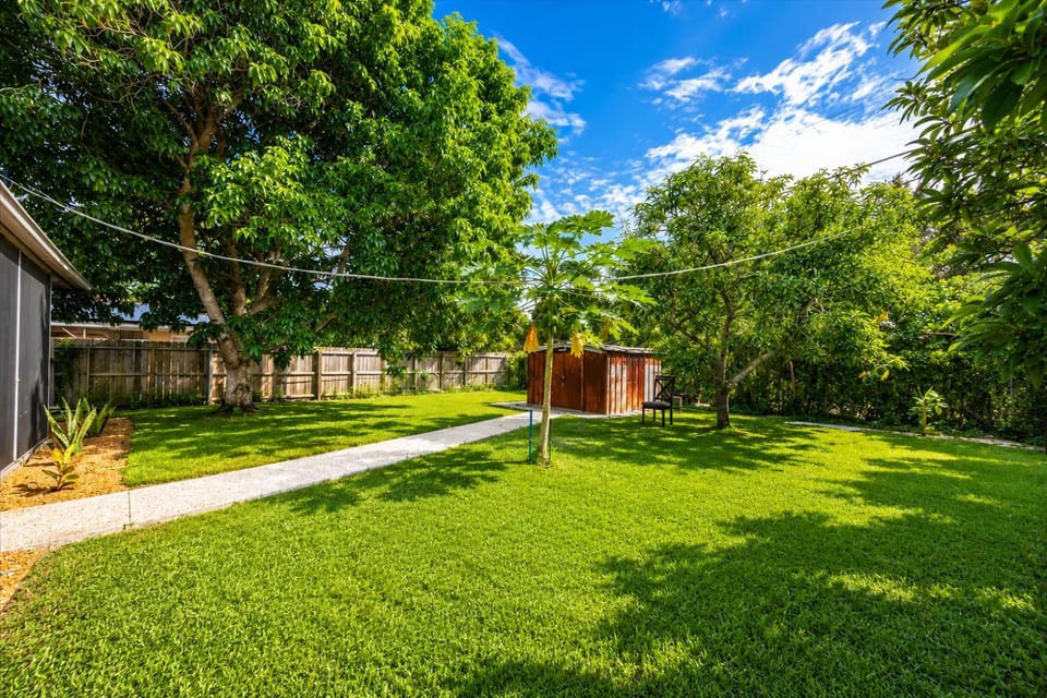 Patio, Natural landscape, Inner courtyard view