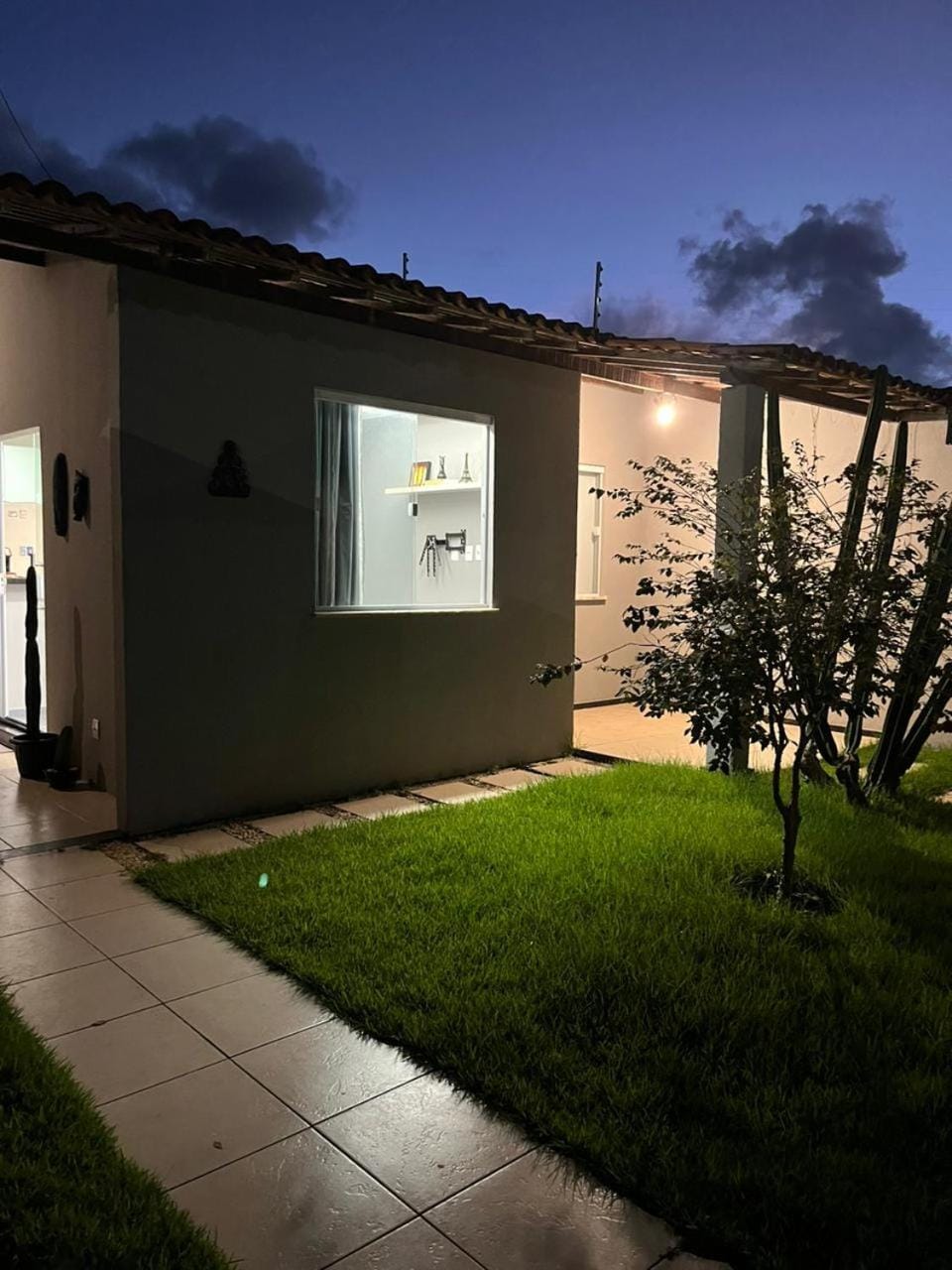 Night, Garden, Garden view