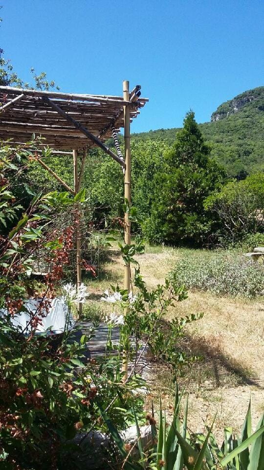 Garden view, Mountain view