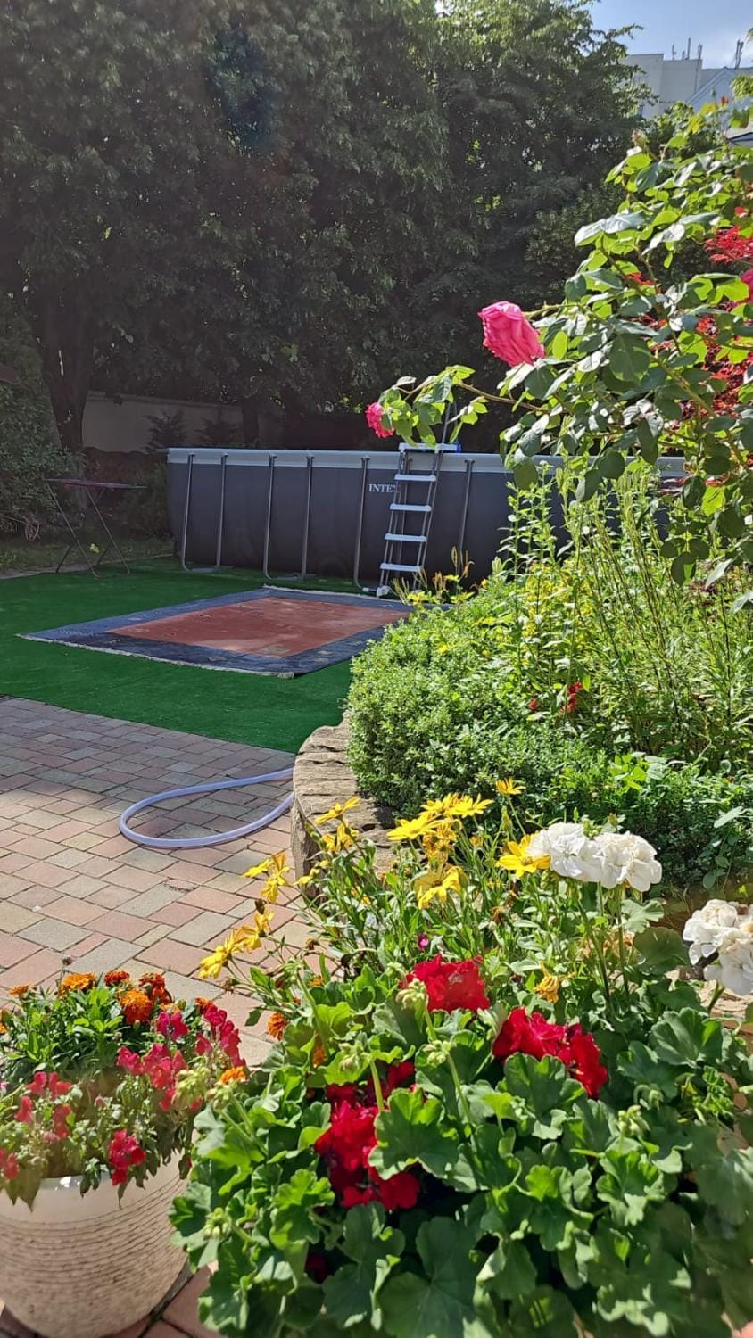 Garden view