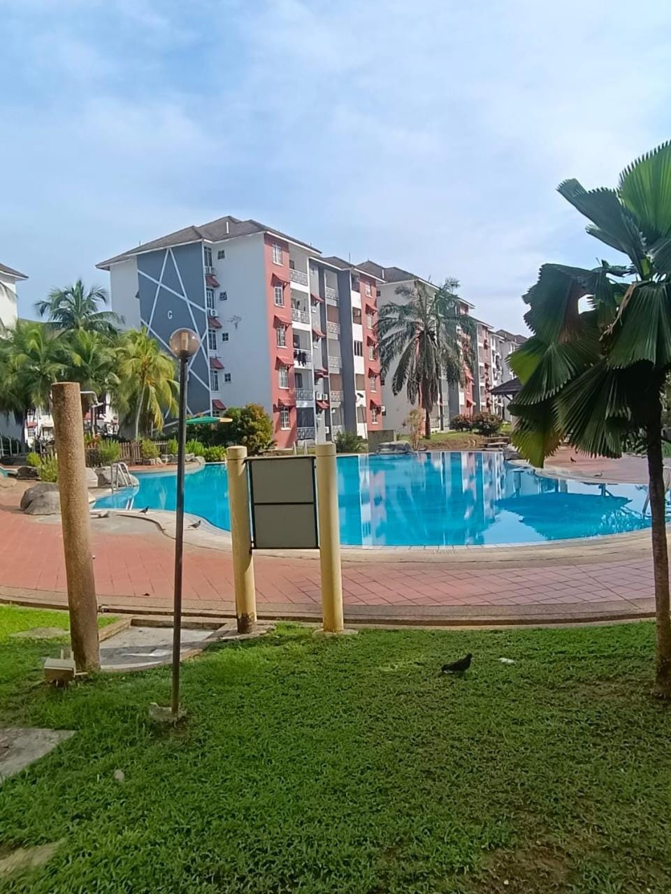 Pool view, Swimming pool