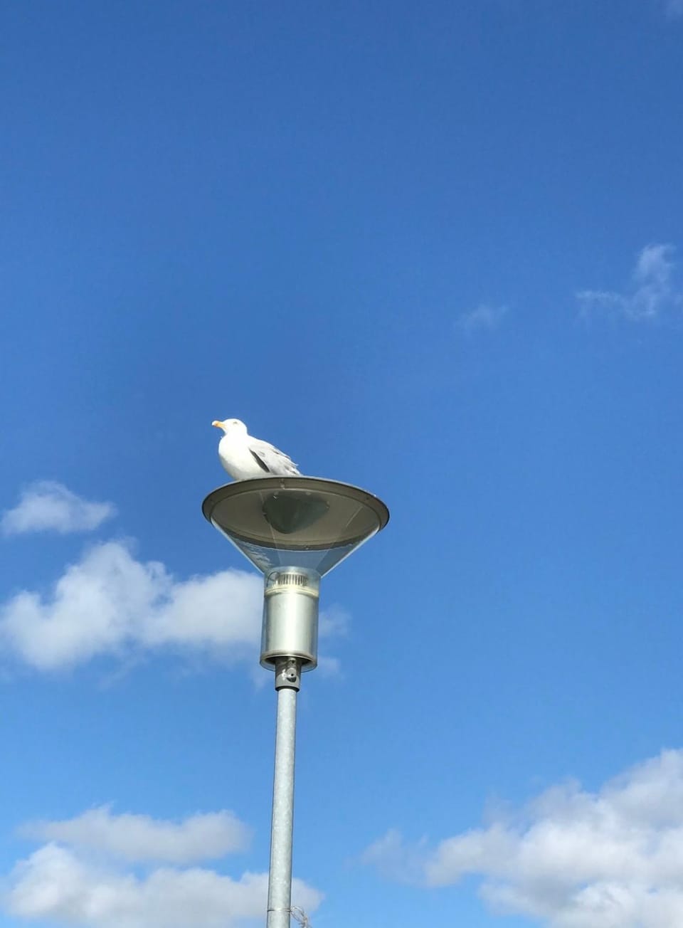 Apartamentai Pamario juosta Apartment in Klaipėda County, Lithuania