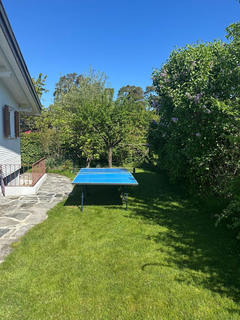 Table tennis, Table tennis, Garden view