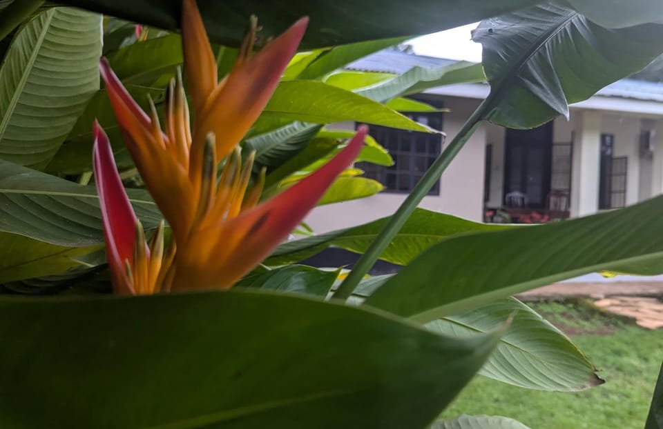I LOVE AFRICA VILLAs Vacation rental in Kenya