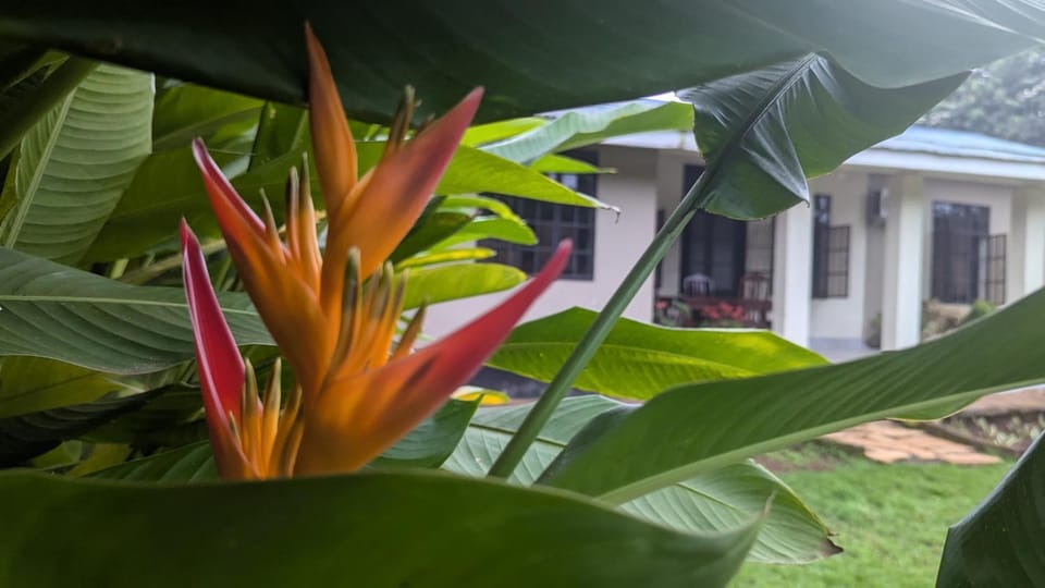 I LOVE AFRICA VILLAs Vacation rental in Kenya