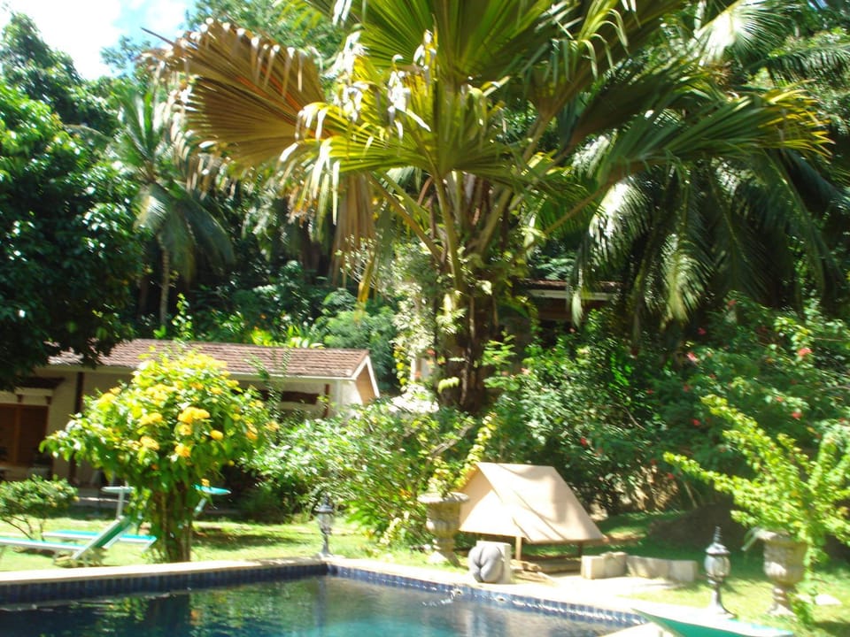 Day, Swimming pool