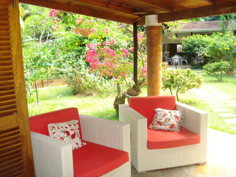 Patio, Day