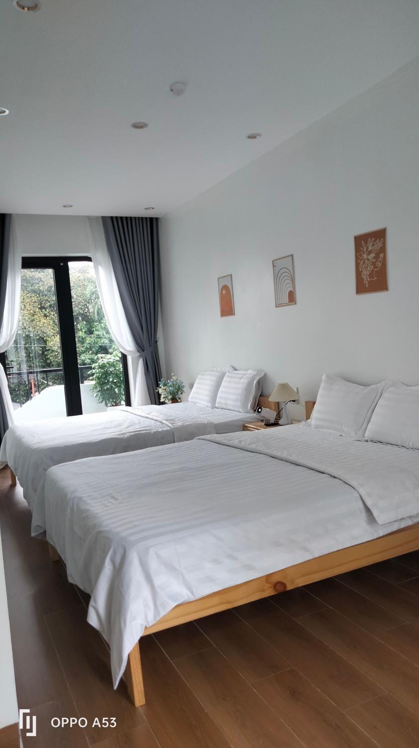 Phố Cổ Homestay Villa in Vietnam
