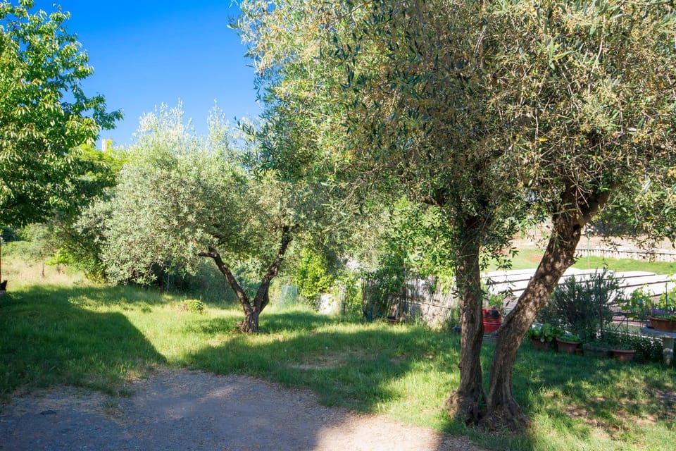 Natural landscape