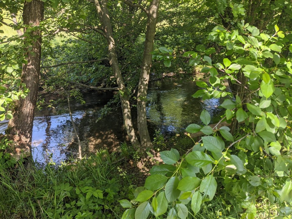 River view