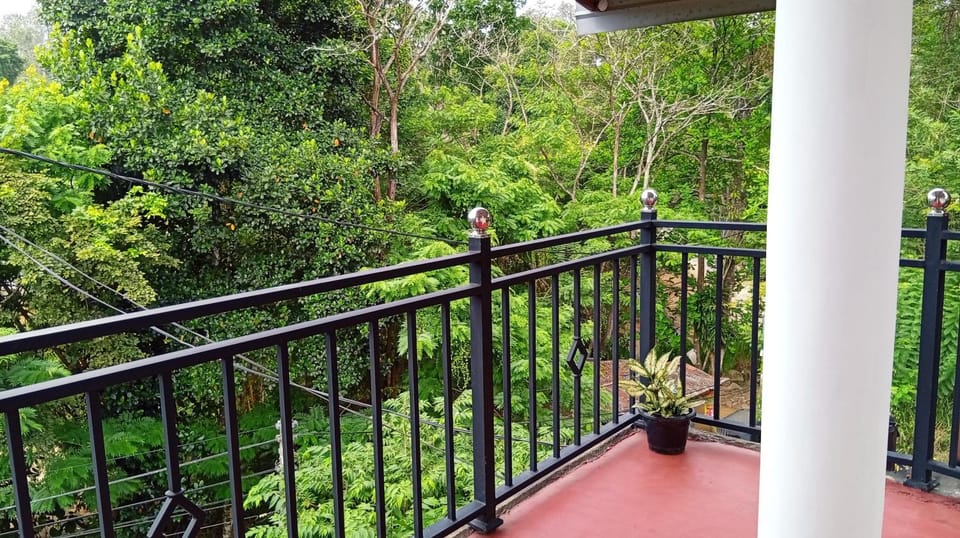 Day, Natural landscape, Garden, View (from property/room), Balcony/Terrace, Garden view
