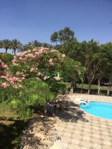 Villa Sarah Villa in Egypt