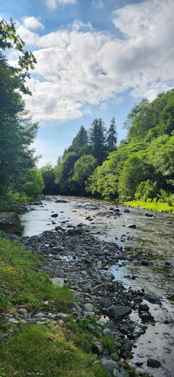 River view