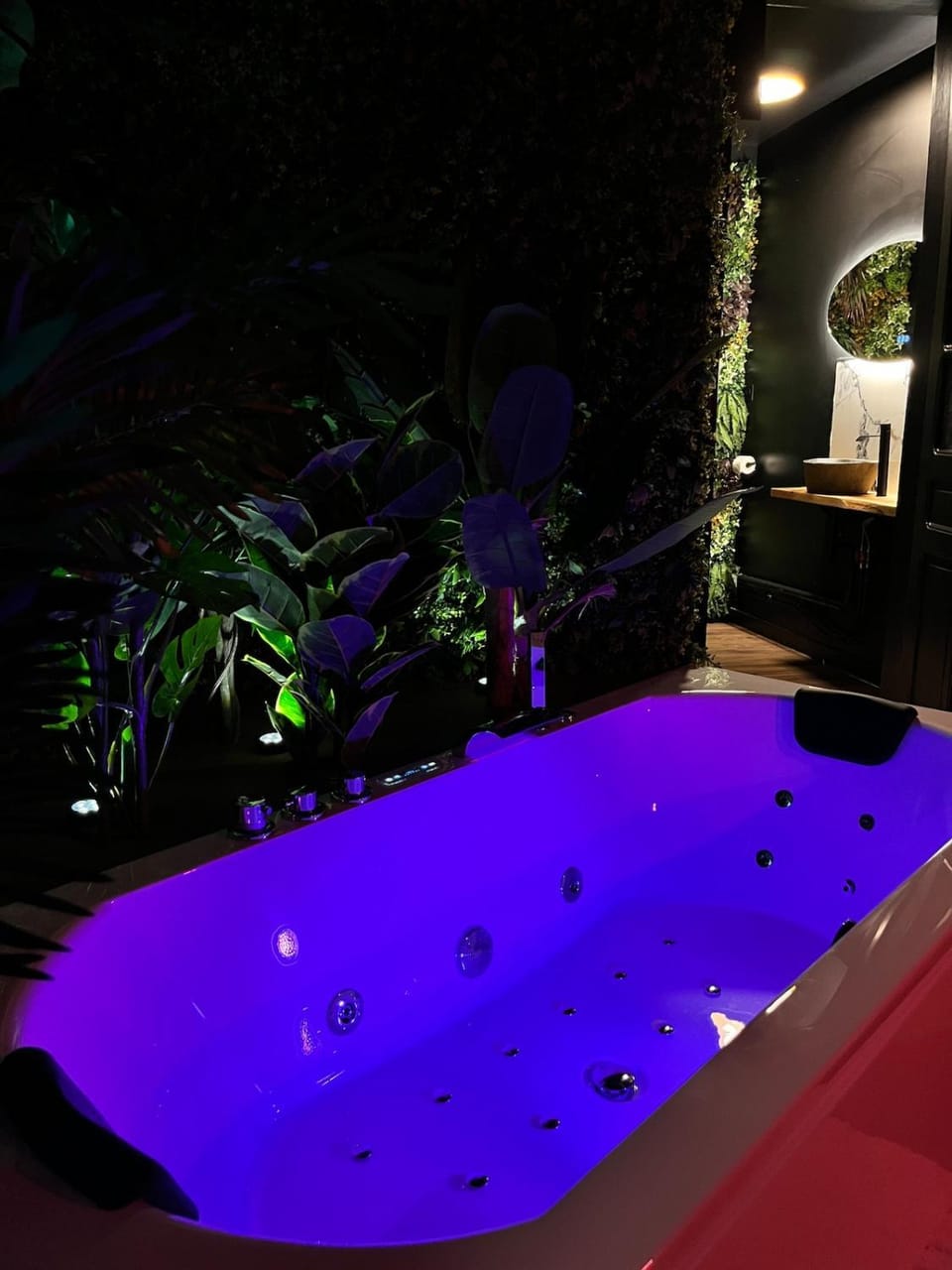 Amazonia Suite - Starry Sky & Spa Bath Apartment in Valenciennes