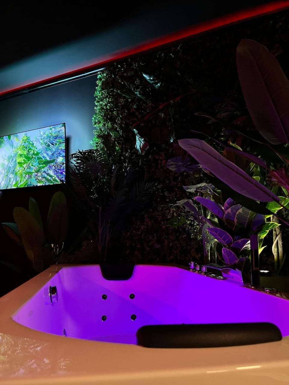 Amazonia Suite - Starry Sky & Spa Bath Apartment in Valenciennes