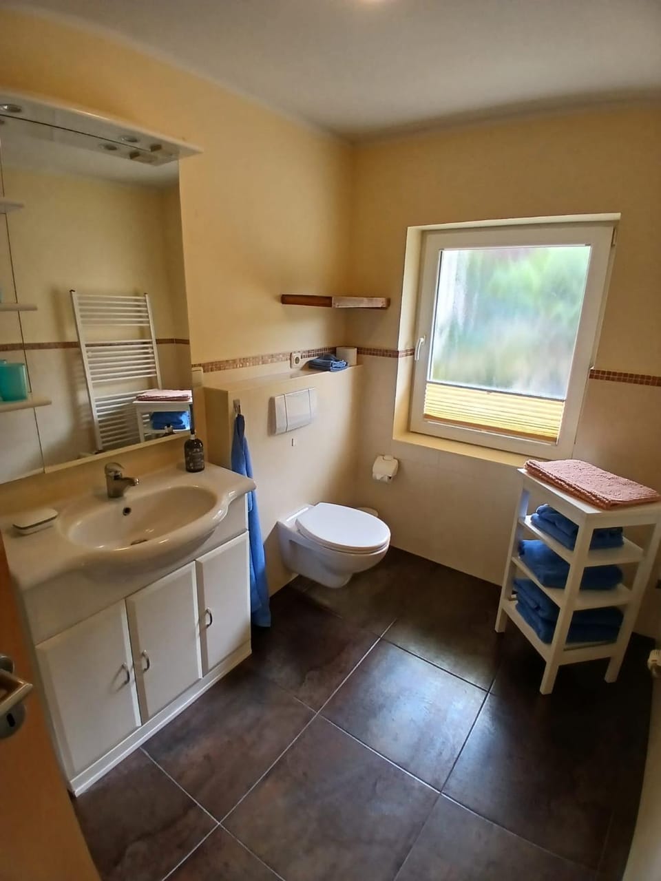 Toilet, Bathroom