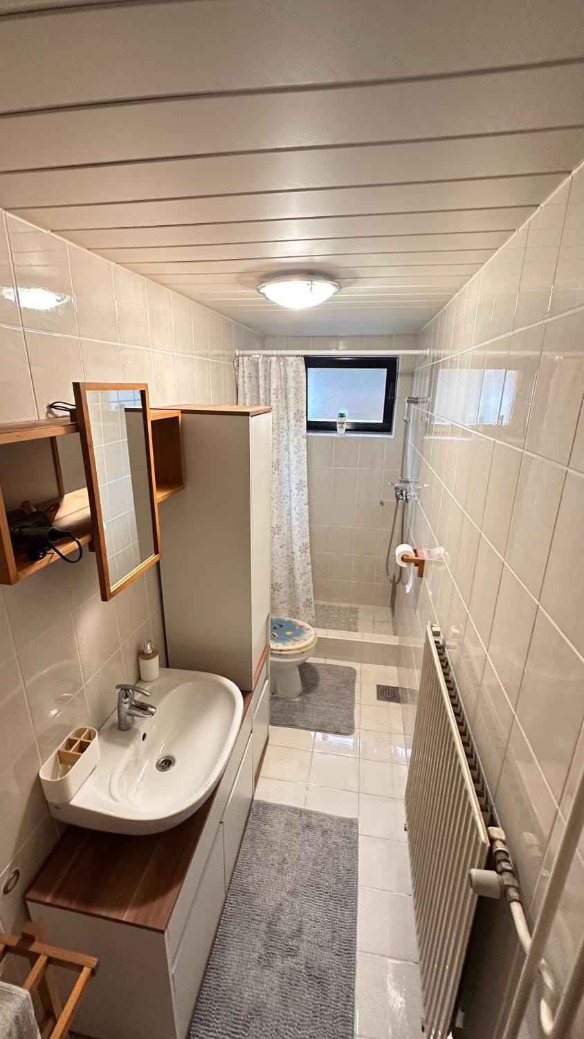 Shower, Toilet, Bathroom, towels
