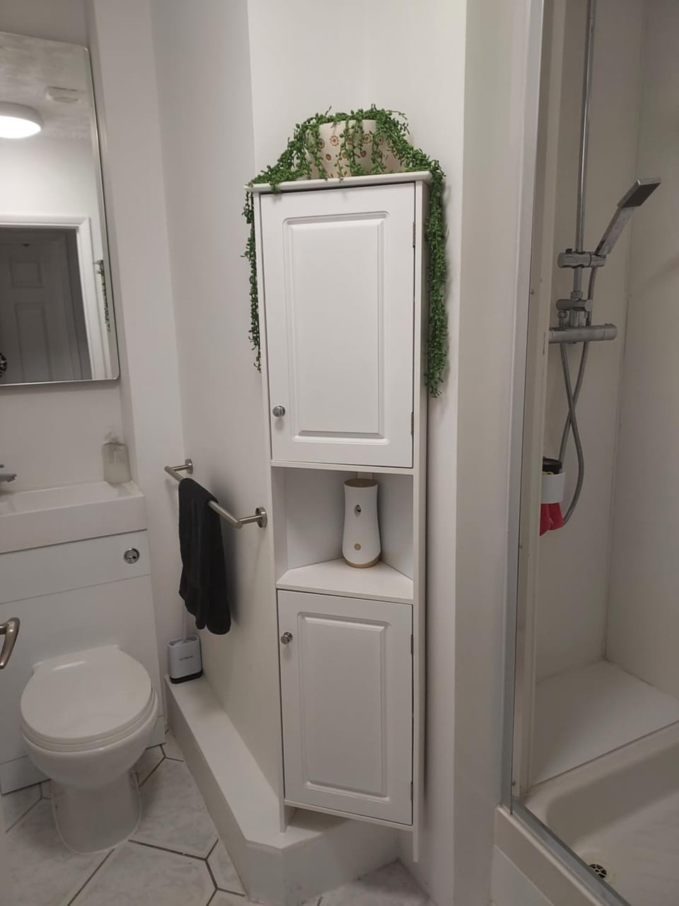 Shower, Toilet, Bathroom