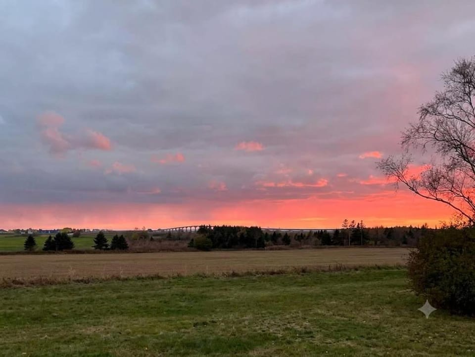 Spring, Day, Natural landscape, Garden view, Landmark view, Location, Sunset