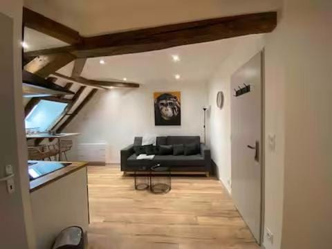 Appartement romantique avec jacuzzi privatif Apartment in Bourges