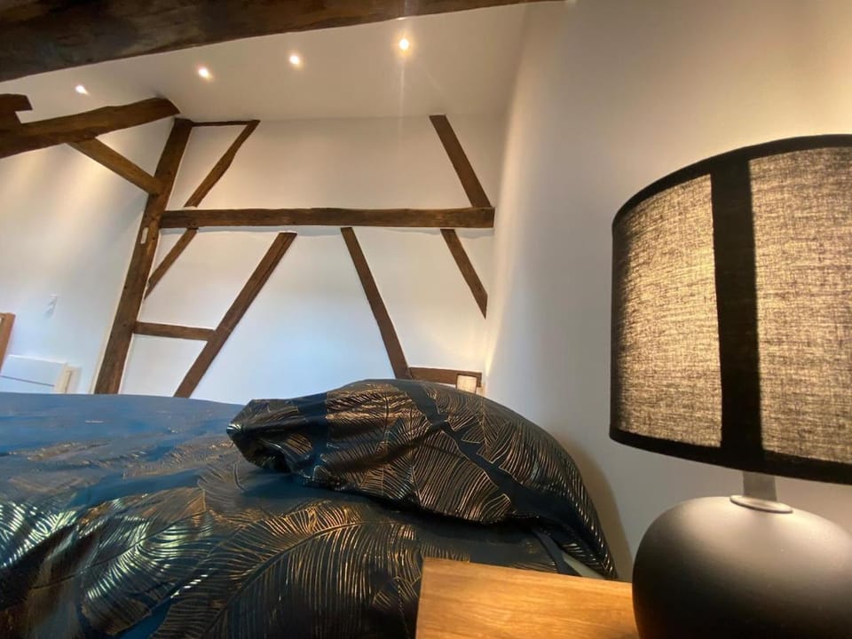 Appartement romantique avec Jacuzzi en plein centre ville Apartment in Bourges