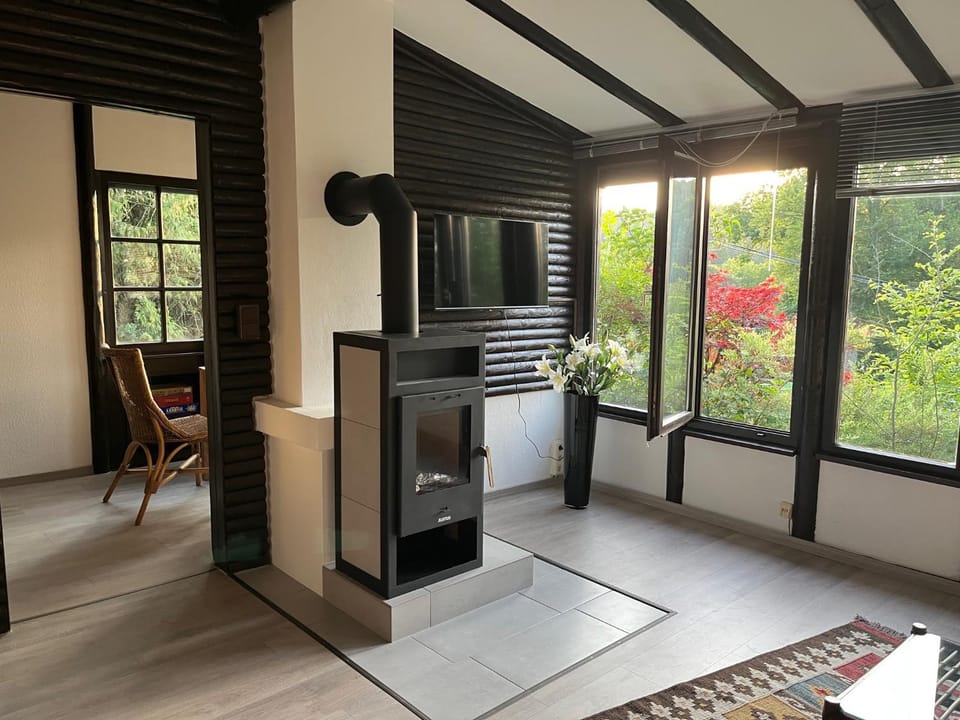 TV and multimedia, Living room, oven