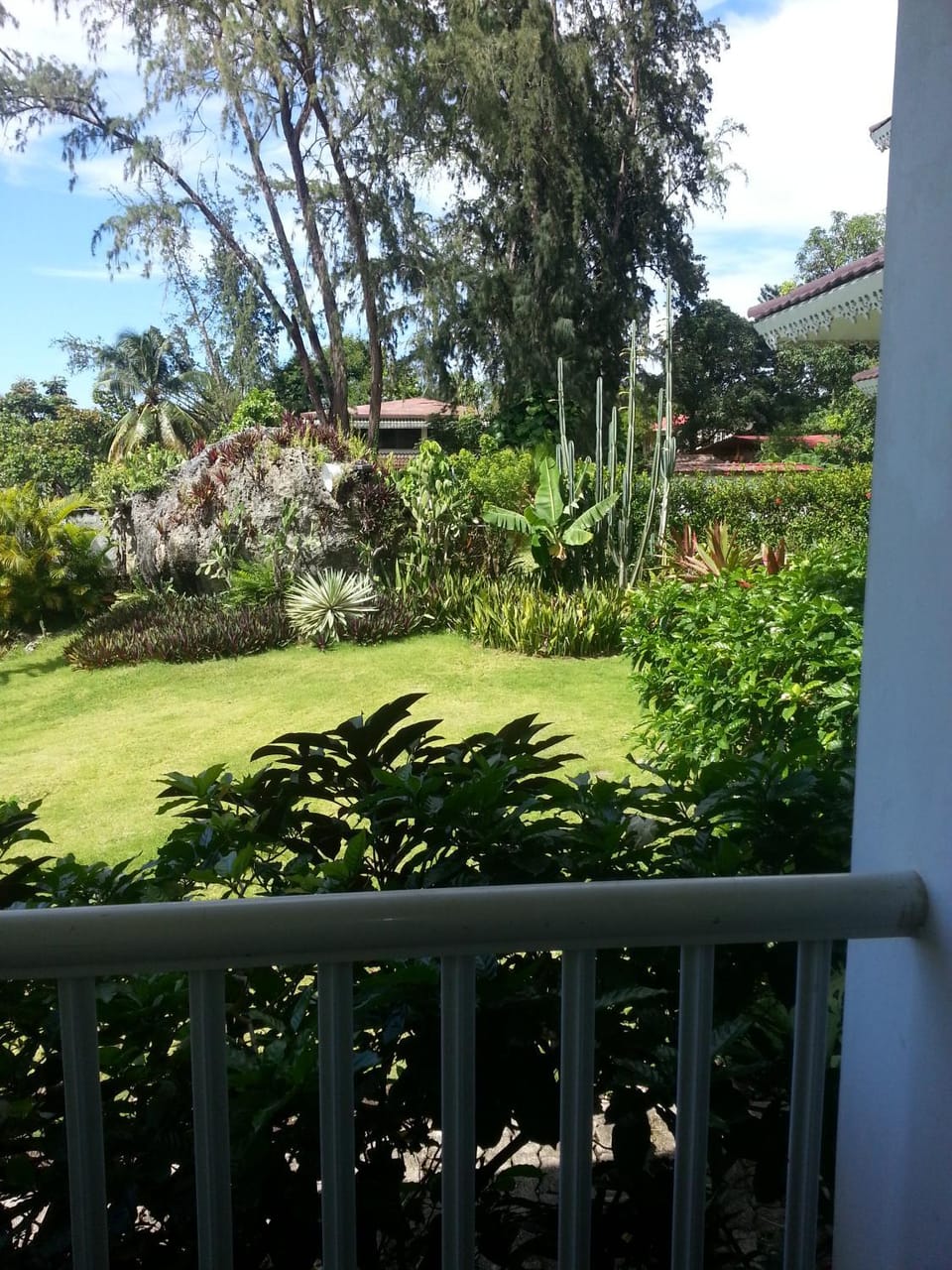 Natural landscape, Garden view