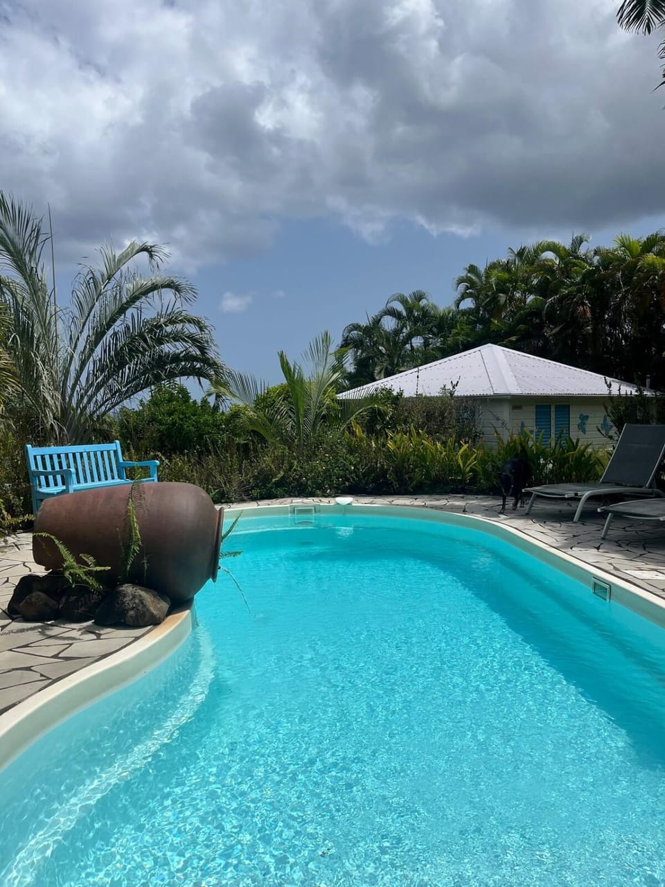 Swimming pool, sunbed