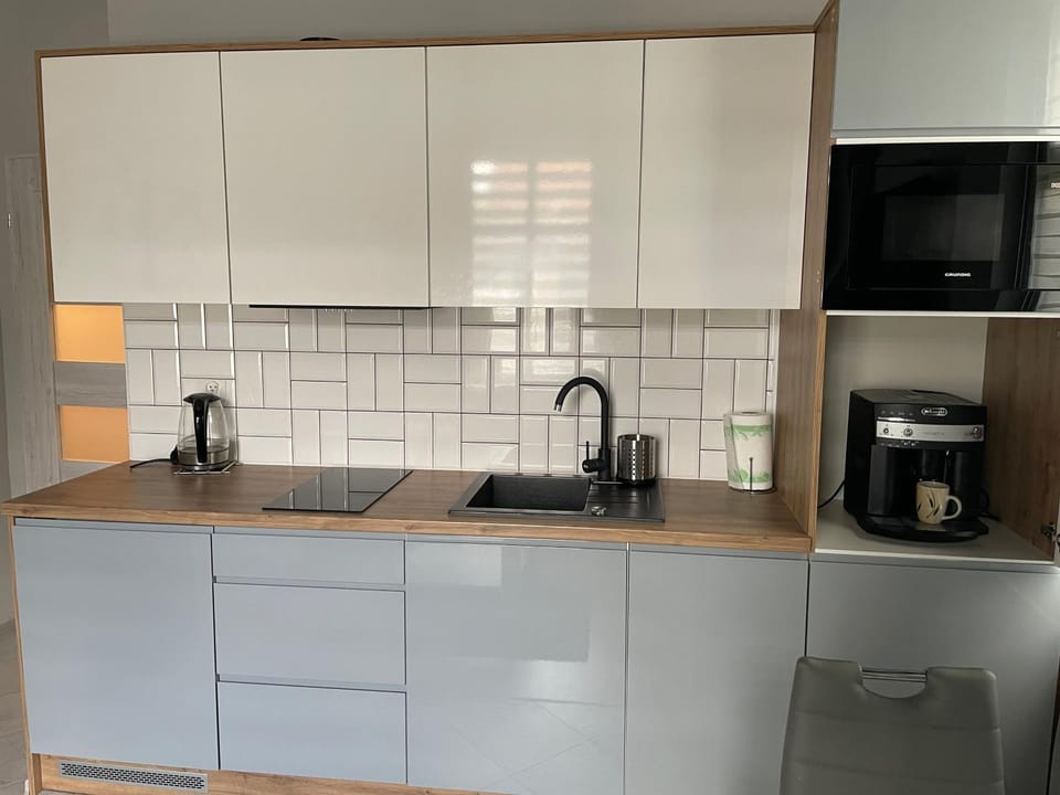 Coffee/tea facilities, Kitchen or kitchenette, minibar, stove, toaster