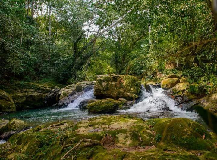 La jungla ecolodge Campground/ 
RV Resort in San José Province