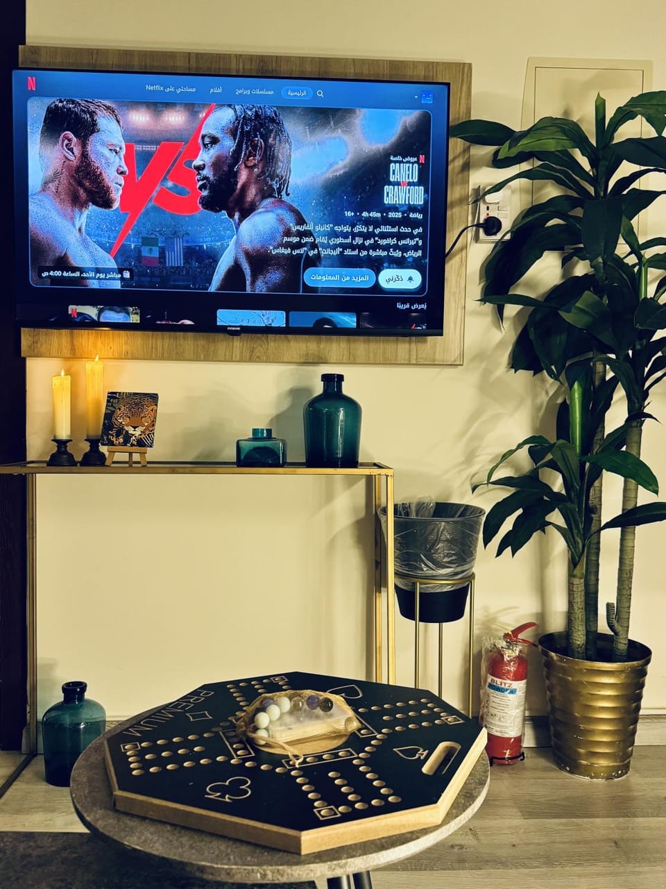 TV and multimedia