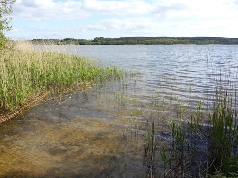 Lake view
