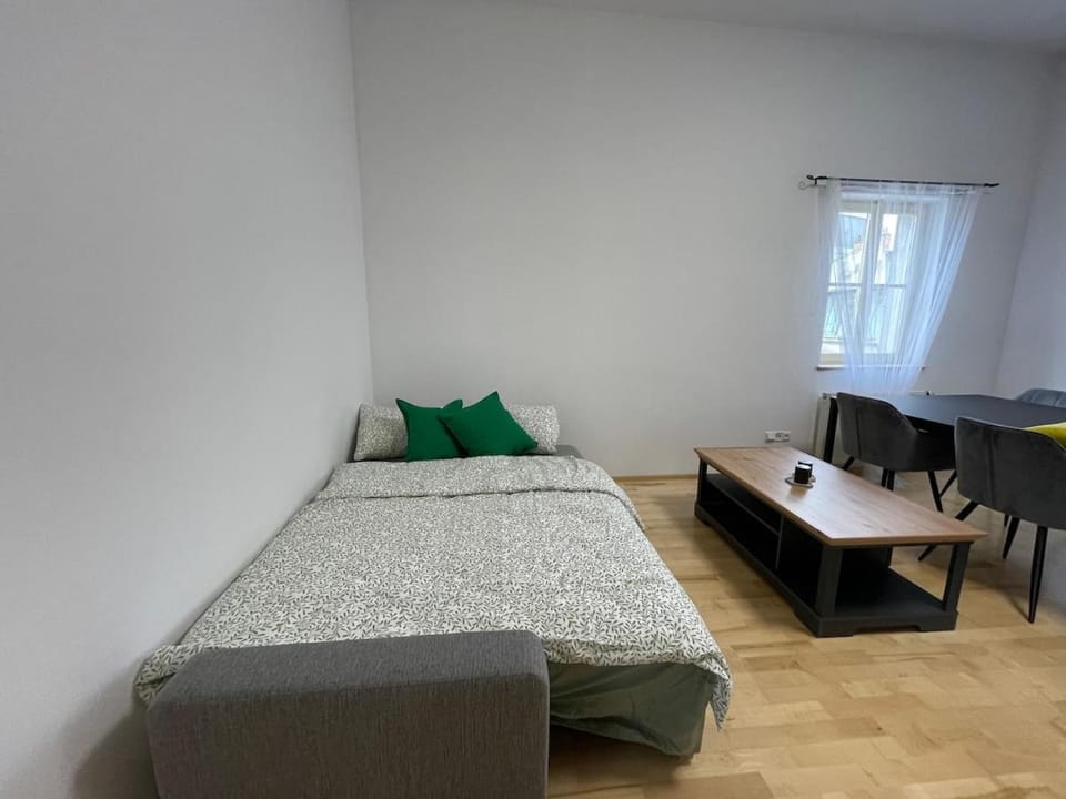 Living in Prague 1 Apartment in Prague