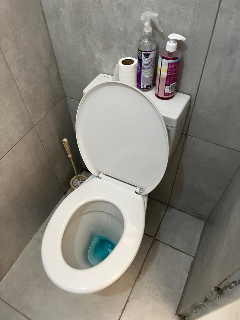 Shower, Toilet, Patio, Bathroom